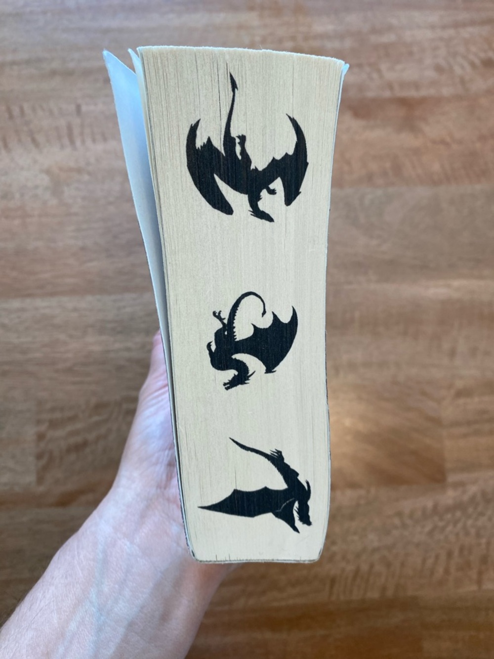 Iron Flame Book by Rebecca Yarros - Picture 7 of 7